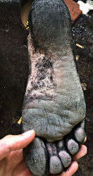 This is her dirty soles after going barefeet outside for a long time.